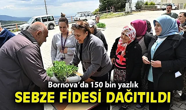 150 bin yazlık sebze fidesi dağıtıldı