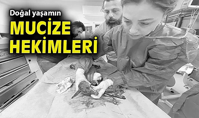Doğal yaşamın mucize hekimleri