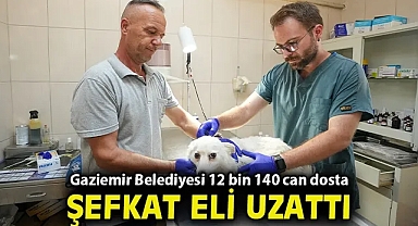 Gaziemir Belediyesi 12 bin 140 can dosta şefkat eli uzattı