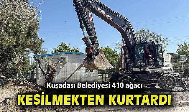 KUŞADASI BELEDİYESİ 410 AĞACI KESİLMEKTEN KURTARDI