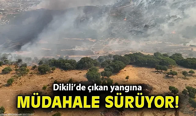 Dikili'de otluk ve zeytinlik alanda çıkan yangına müdahale sürüyor