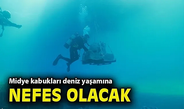 Midye kabukları deniz yaşamına nefes olacak