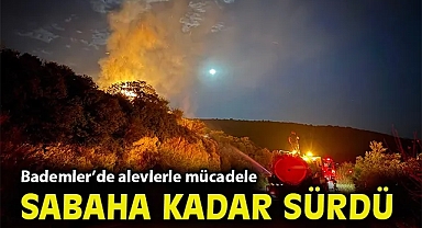 Dikili Bademler'de alevlerle mücadele sabaha kadar sürdü