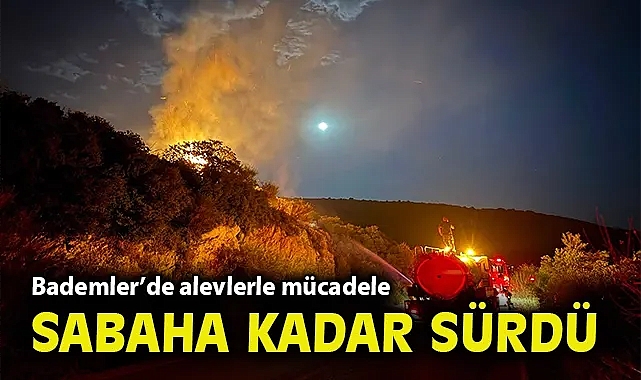 Dikili Bademler'de alevlerle mücadele sabaha kadar sürdü