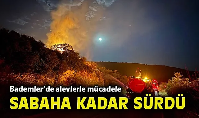 Dikili Bademler'de alevlerle mücadele sabaha kadar sürdü