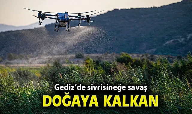 Gediz'de sivrisineğe savaş, doğaya kalkan