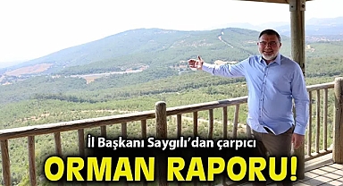 İl Başkanı Saygılı'dan çarpıcı orman raporu!