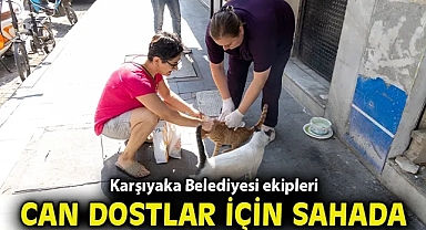 Karşıyaka Belediyesi ekipleri can dostlar için sahada