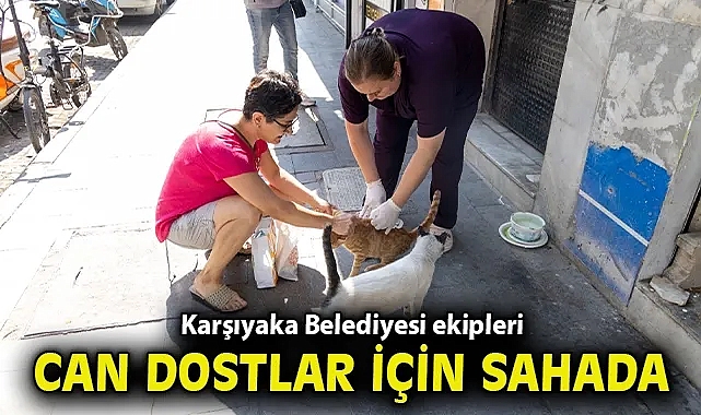 Karşıyaka Belediyesi ekipleri can dostlar için sahada