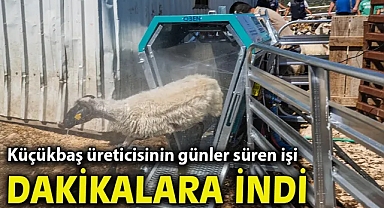 Küçükbaş üreticisinin günler süren işi dakikalara indi