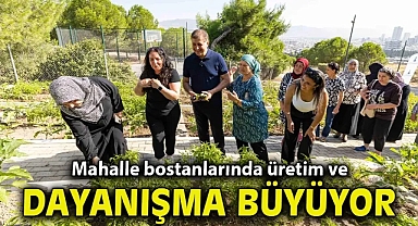 Mahalle bostanlarında üretim ve dayanışma büyüyor